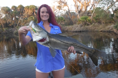 Sarasota Florida River Fishing